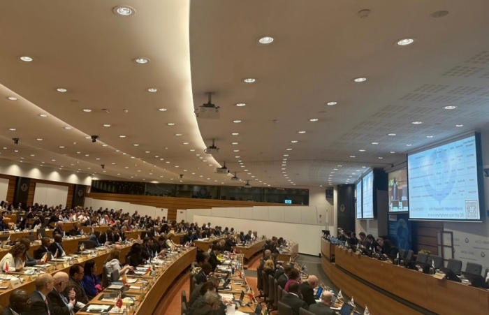 Khai mạc phiên họp Hội đồng lần thứ 141/142 của Tổ chức Hải quan thế giới