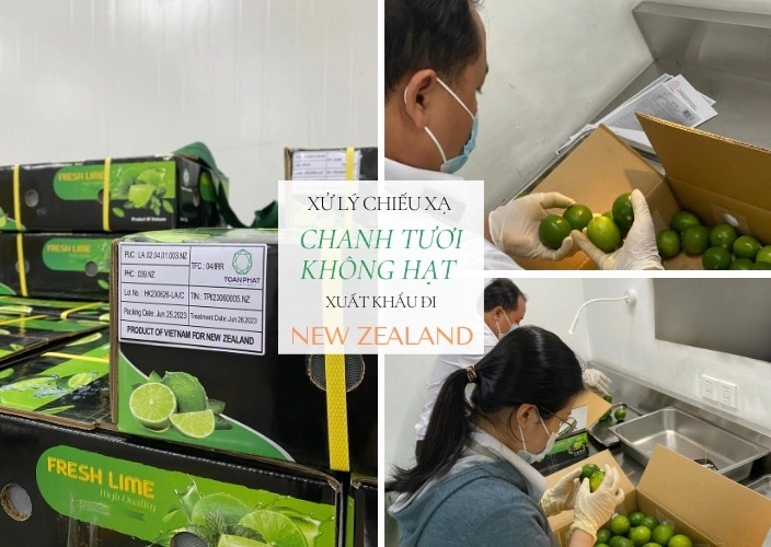 Doanh nghiệp Việt Nam cần lưu ý khi xuất khẩu bưởi và chanh sang New Zealand