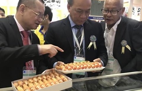 Doanh nghiệp tôm vừa tăng xuất khẩu, vừa lo áp lực chi phí