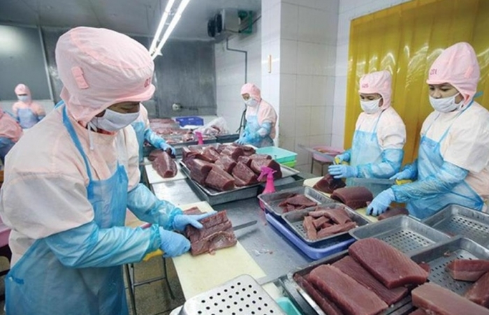 Mỹ là thị trường lớn thứ 2 nhập khẩu thăn cá ngừ Việt Nam