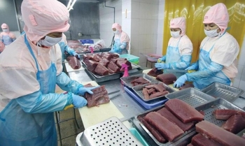 Doanh nghiệp thủy sản kiến nghị khơi thông nguồn nguyên liệu xuất khẩu