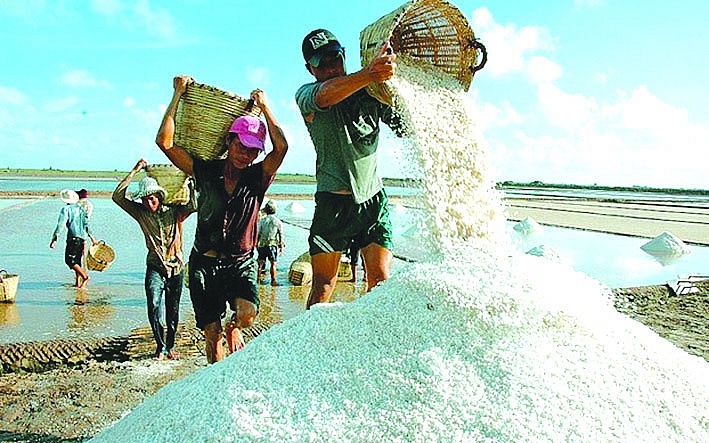 Nâng tầm ngành muối thành mặt hàng chủ lực, phải nỗ lực để diện tích muối và sản lượng muối không bị tụt giảm hàng năm như hiện nay. 	 Ảnh minh họa: ST