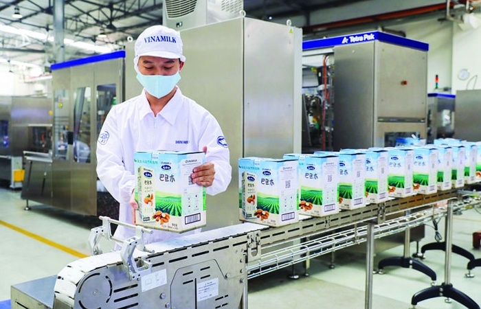 Doanh nghiệp ngành sữa gia tăng thị phần tại nước ngoài