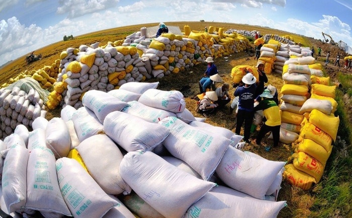 Gạo xuất khẩu mang về 2,4 tỷ USD tăng 28%