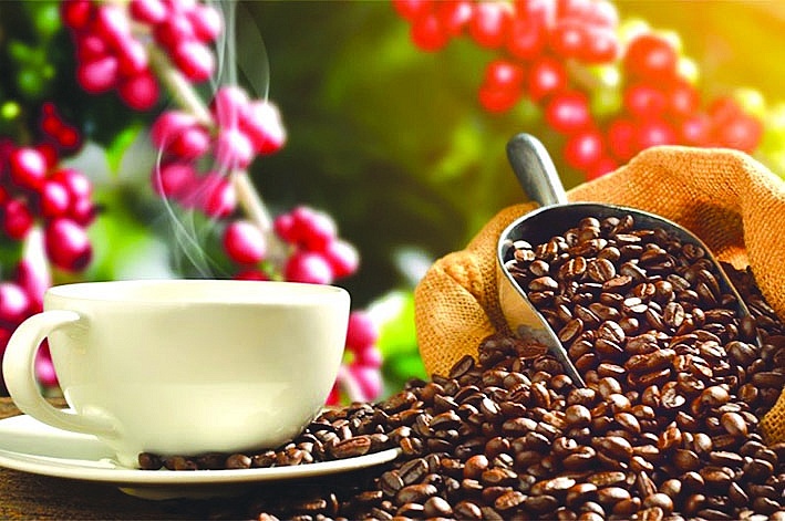 Cà phê là một trong những mặt hàng nông sản xuất khẩu có mức tăng cao nhất trong vòng 10 năm qua của Việt Nam. 	Ảnh: ST
