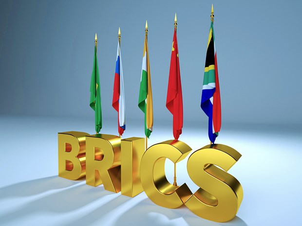 Hoi nghi thuong dinh BRICS uu tien van de ket nap them thanh vien hinh anh 1