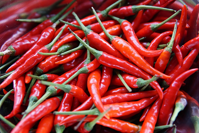 Xuất khẩu ớt sang Hàn Quốc cần nghiêm quy định về dư lượng thuốc bảo vệ thực vật