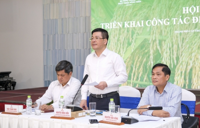 Việt Nam có khả năng xuất khẩu tới 8 triệu tấn gạo trong năm nay