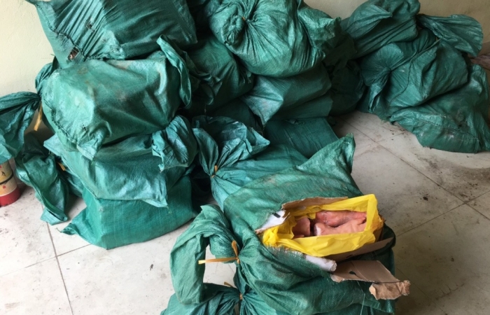 Hải quan Chi Ma bắt giữ 400 kg chân lợn đông lạnh không rõ nguồn gốc