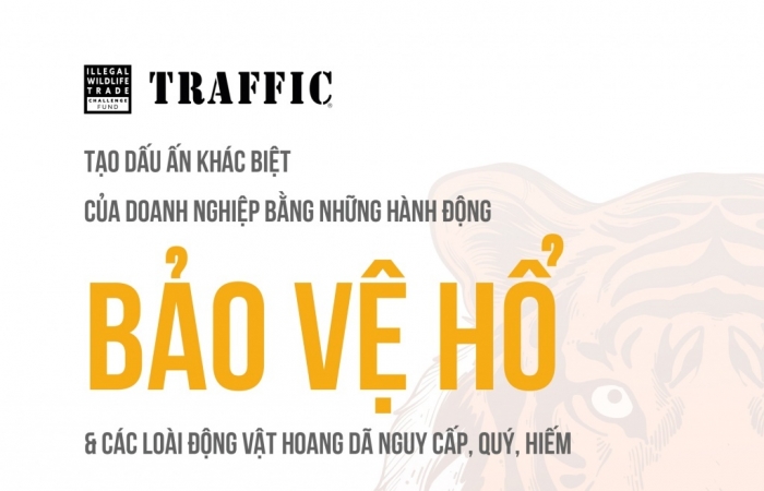 Infographics: Tạo dấu ấn khác biệt cho doanh nghiệp bằng hành động bảo vệ động vật hoang dã