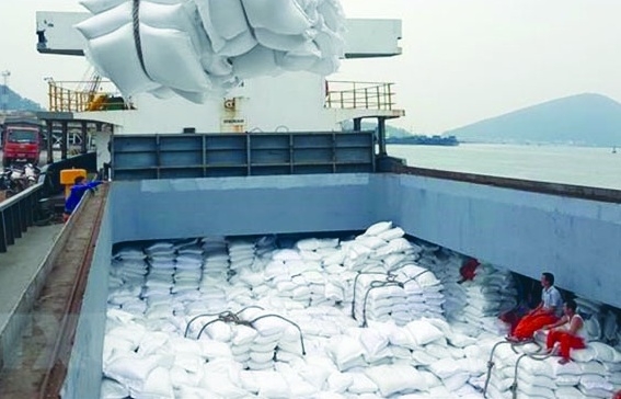Cơ hội cho Việt Nam khi Indonesia nhập thêm 1,6 triệu tấn gạo