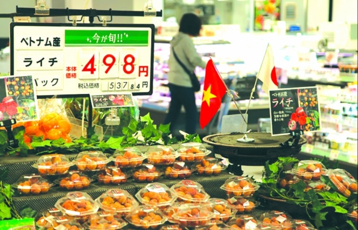Đưa hàng Việt “phủ sóng” siêu thị Nhật Bản