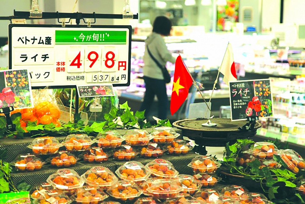 Gian hàng vải thiều Việt Nam tại hệ thống siêu thị AEON Kagoshima. 	Ảnh: CTV