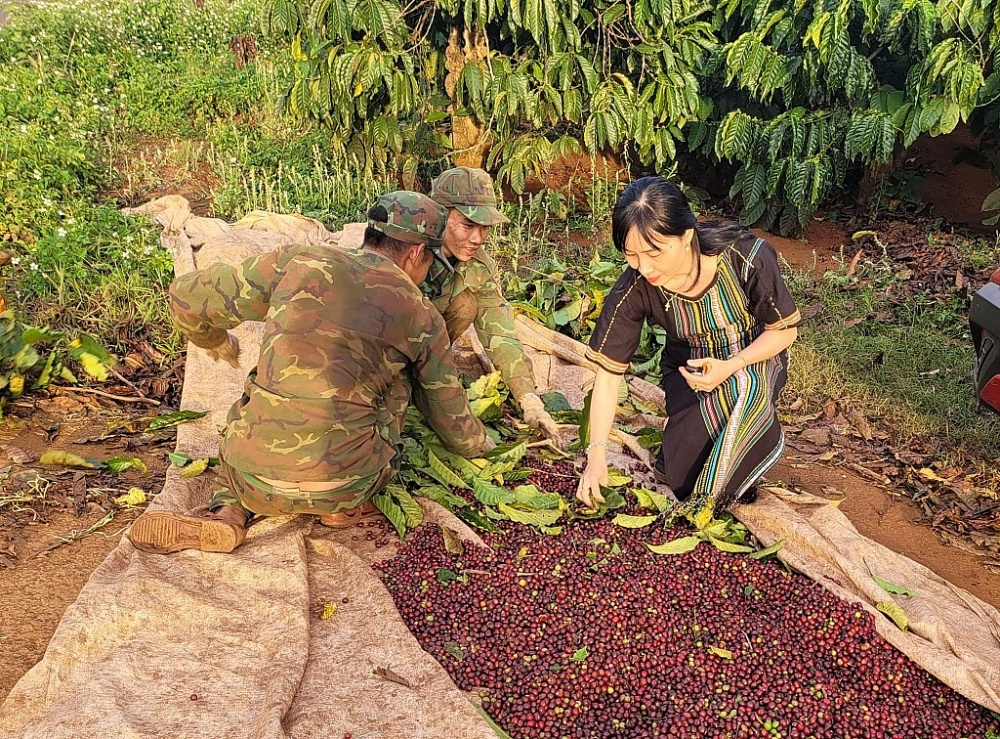Doanh nhân Nguyễn Thị Hoài Trinh và công nhân kiểm tra sản phẩm cà phê tại vùng canh tác