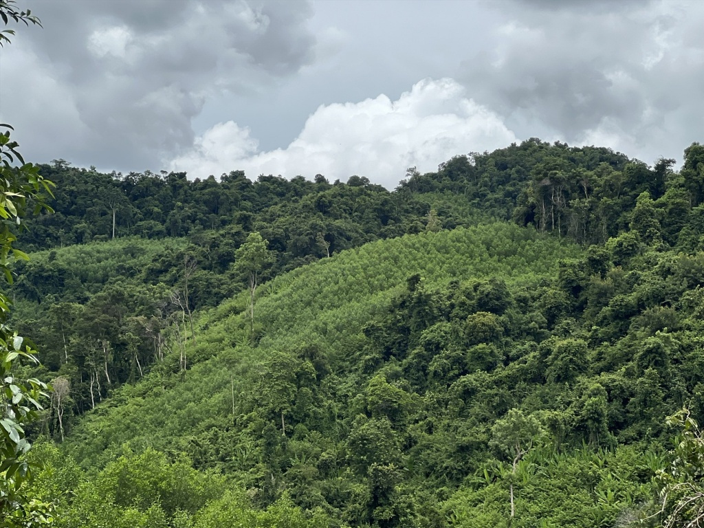 Huy động nguồn lực phù hợp cho Dự án KfW 9 phục hồi và quản lý rừng bền vững