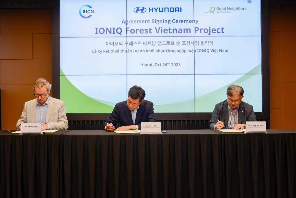 Hyundai Motor đồng hành cùng IUCN và GNI triển khai trồng rừng ngập mặn tại Đồng bằng sông Cửu Long
