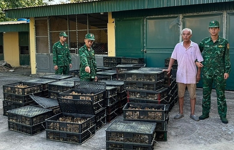 Quảng Ninh: Ngăn chặn từ sớm, từ xa buôn lậu tháng cuối năm