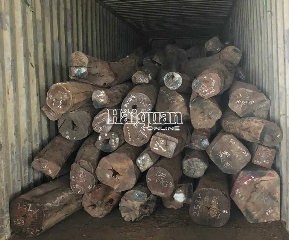 Hình ảnh vụ 28 m3 gỗ quý trong vụ buôn lậu cơ quan Hải quan vừa khởi tố
