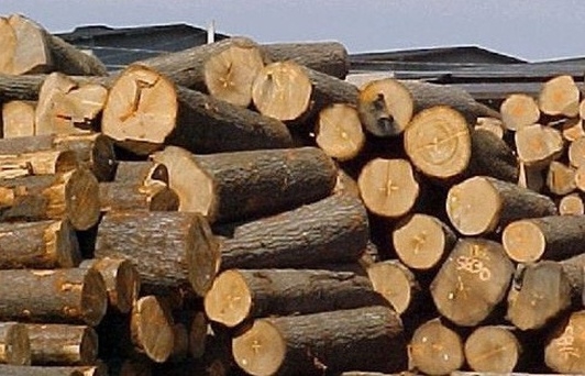 Tạm ngừng kinh doanh tạm nhập, tái xuất gỗ từ rừng tự nhiên Lào và Campuchia