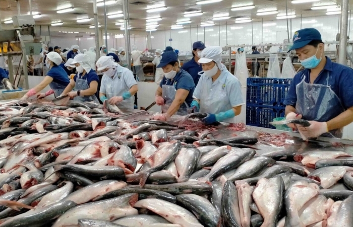 Thái Lan đứng đầu khối ASEAN về tiêu thụ cá tra Việt Nam