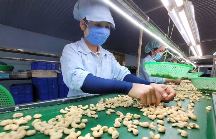 Tổng giám đốc Công ty CP Long Sơn: Sản phẩm chế biến sâu đã vào các siêu thị nổi tiếng thế giới
