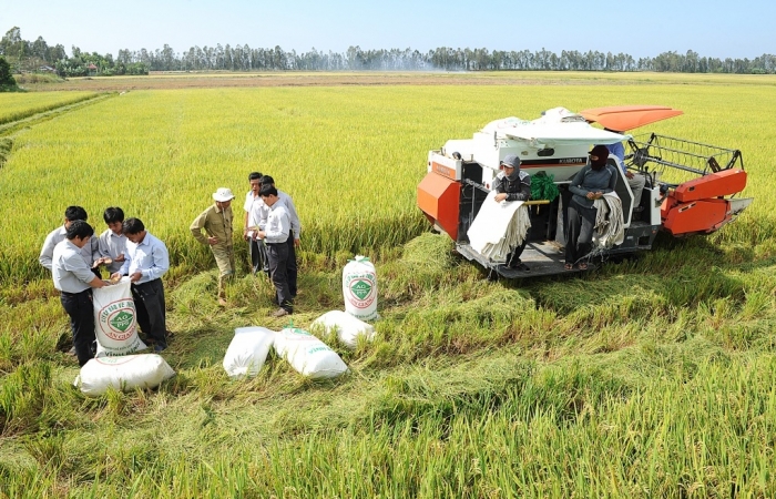 Việt Nam mới có 2 nông sản chủ lực được đăng ký bảo hộ