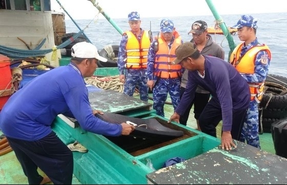 Vùng Cảnh sát biển 4 bắt giữ tàu cá vận chuyển 130.000 lít dầu DO trái phép