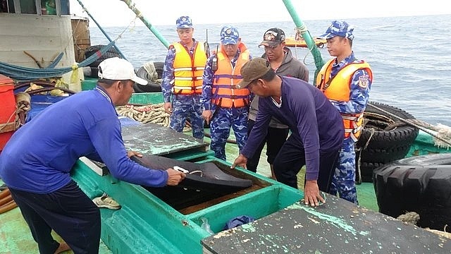 Tổ công tác Vùng Cảnh sát biển 4 kiểm tra tàu vi phạm.