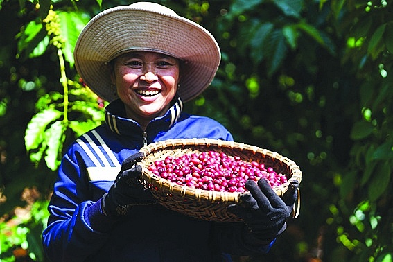 Thương hiệu là chìa khóa để gia tăng sức cạnh tranh cho nông sản Việt ở thị trường trong nước và thế giới. 	 Ảnh: TL
