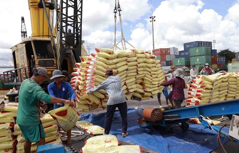Giá gạo xuất khẩu tại các “vựa lúa” lớn của châu Á vẫn ổn định