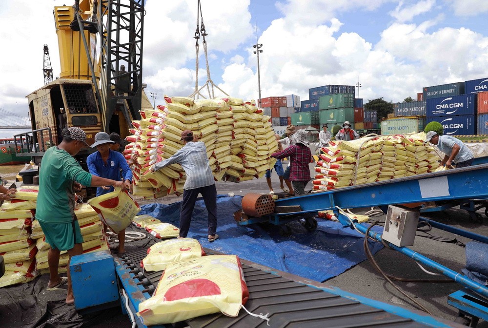 Gạo Việt Nam chiếm 85% gạo nhập khẩu của Philippines