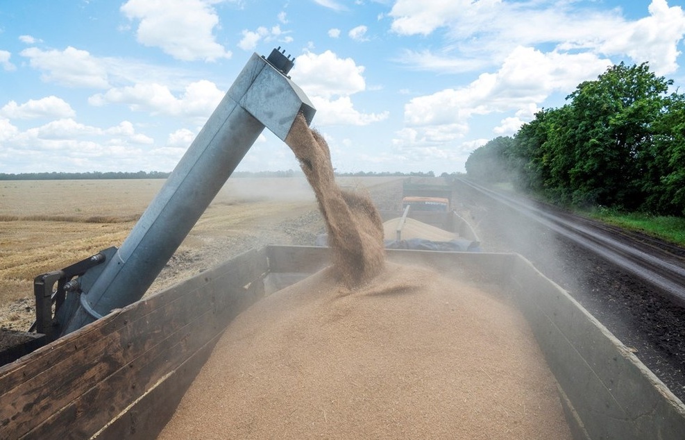 5 quốc gia châu Âu yêu cầu áp thuế nhập khẩu với ngũ cốc Ukraine
