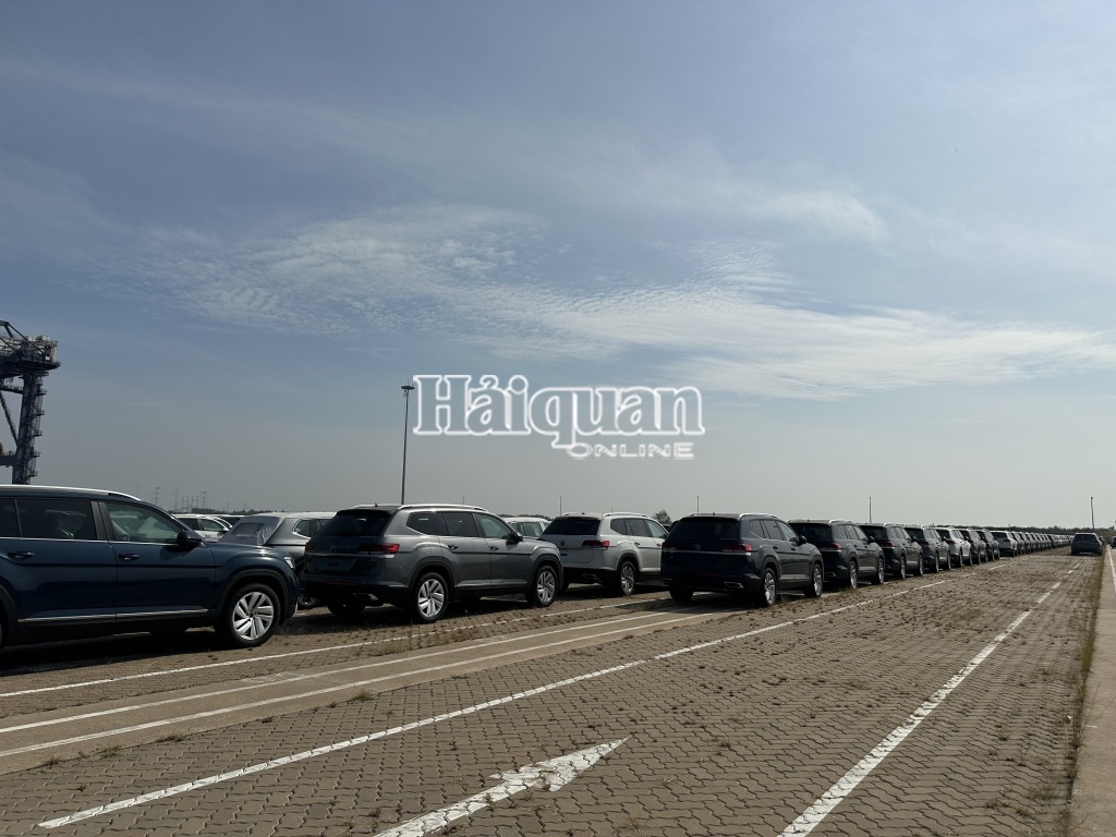 TPHCM: Cuối năm, cảng vắng bóng xe ô tô nhập khẩu