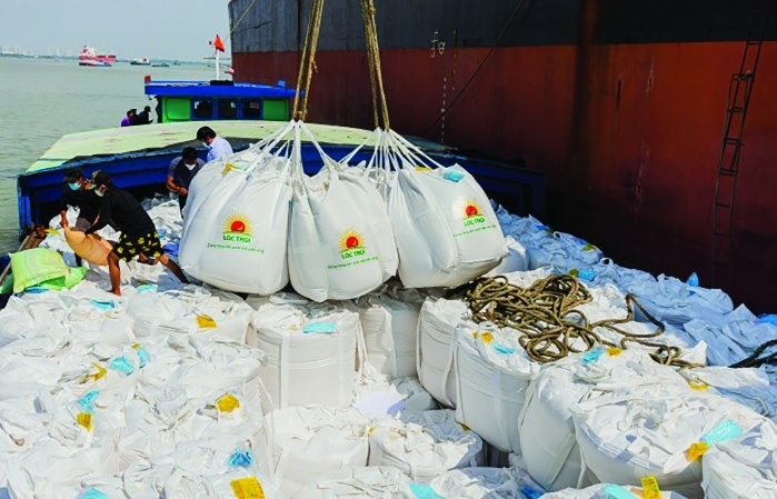Liên kết xuất khẩu gạo Việt