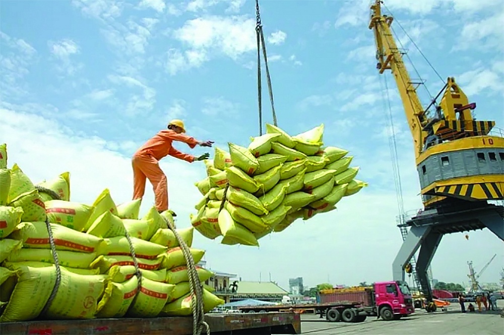 Tổng khối lượng gạo XK năm 2023 của Việt Nam đạt 8.131 triệu tấn, trị giá gần 4.7 tỷ USD.