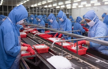 Doanh nghiệp tôm Việt cần lưu ý gì khi mở rộng xuất khẩu sang Trung Quốc?