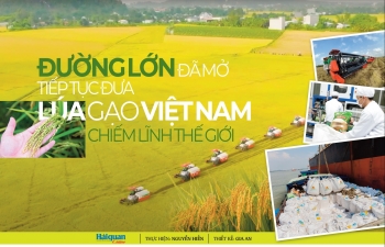 LONGFORM: Đường lớn đã mở tiếp tục đưa lúa gạo Việt Nam chiếm lĩnh thế giới