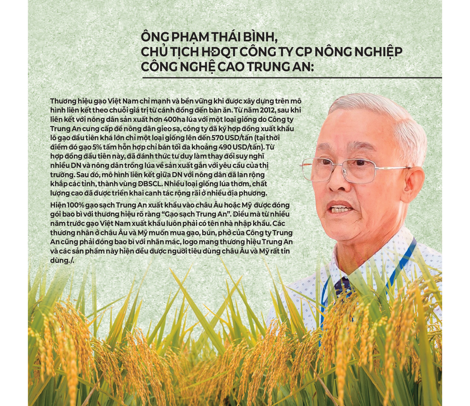 LONGFORM: Đường lớn đã mở tiếp tục đưa lúa gạo Việt Nam chiếm lĩnh thế giới
