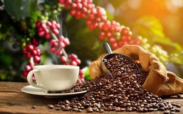 Tăng trưởng mạnh, xuất khẩu cà phê thu gần 1 tỷ đô
