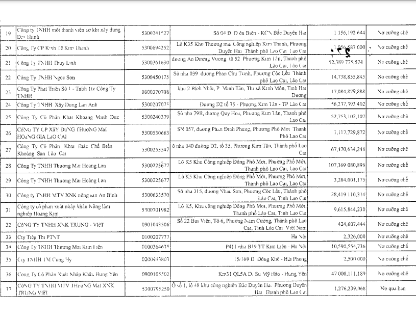 Hải quan Lào Cai công bố danh sách 37 doanh nghiệp nợ thuế
