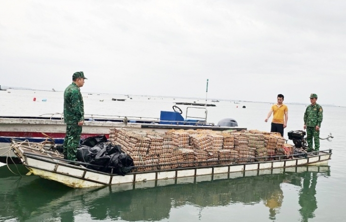 Quảng Ninh: Phát hiện tàu gỗ vận chuyển hơn 29.000 quả trứng nhập lậu
