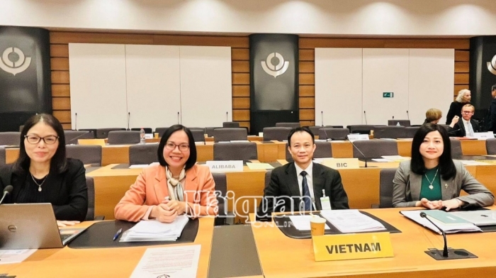 Hải quan Việt Nam tham dự Phiên họp lần thứ 243/244 của Ủy ban Kỹ thuật thường trực WCO