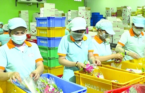 Thành phố Hồ Chí Minh:  Doanh nghiệp vượt khó, xuất khẩu dẫn đầu cả nước