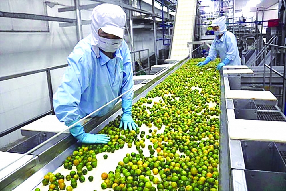 Công ty TNHH MTV Chế biến nông sản Tiến Thịnh (Hậu Giang) đầu tư máy móc, công nghệ sản xuất nước ép trái cây xuất khẩu. 	Ảnh: ST