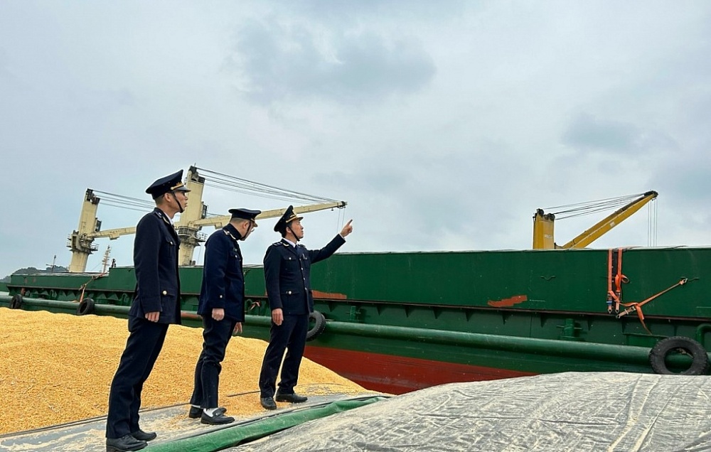 Chi cục Hải quan cửa khẩu cảng Hòn Gai tăng cường kiểm tra, giám sát, kiểm soát hàng hoá trên biển. 