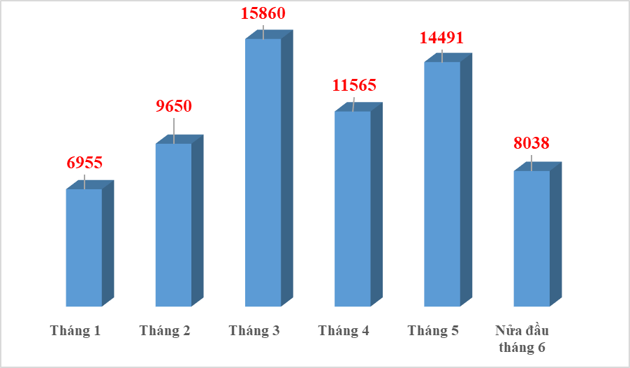 Nhập khẩu ô tô có chiều hướng sôi động