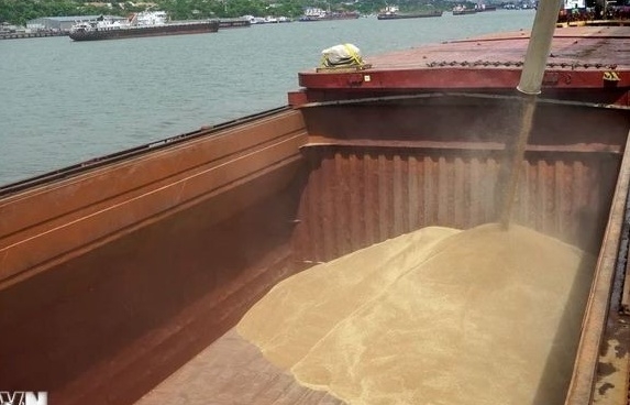 Nga gia hạn 6 tháng lệnh cấm xuất khẩu gạo và yến mạch
