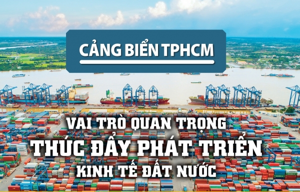 haiquanonline.com.vn