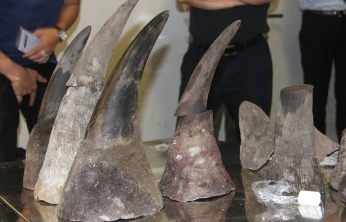 Nhiều đối tượng buôn lậu sừng tê giác, sản phẩm động vật hoang dã lĩnh án tù