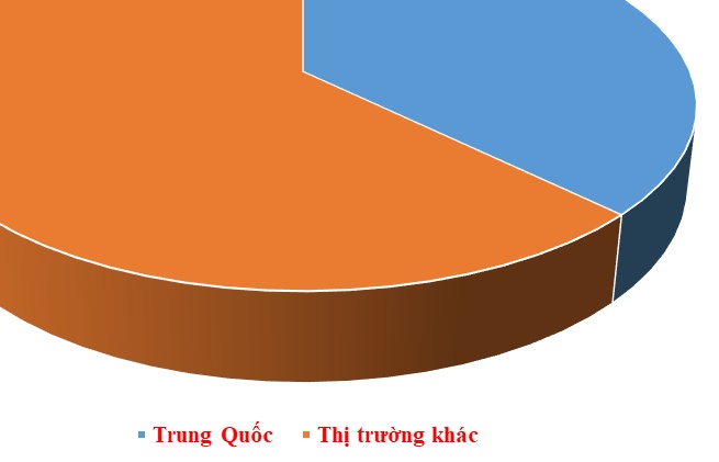 Hàng hóa Trung Quốc ùn ùn về Việt Nam trong nửa đầu năm 2024